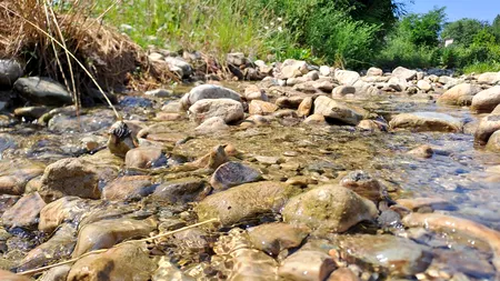 Unul din cele mai mari bazine hidrografice din țară, afectat de caniculă și lipsa ploilor