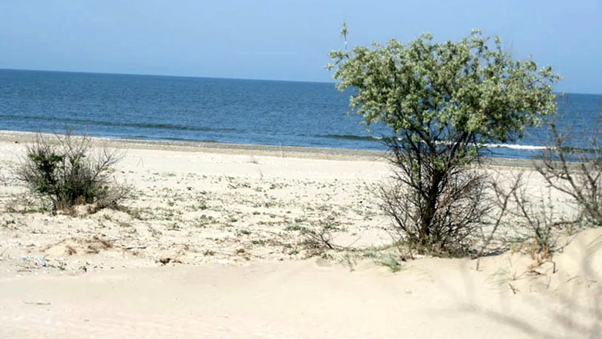 ARBDD: plajele sălbatice ale Deltei Dunării ar putea fi monitorizate video