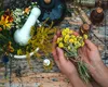 Comoara din luna iunie: 10 plante medicinale de cules și păstrat în cămară