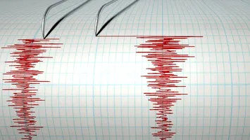 România s-a cutremurat. Câte grade a avut seismul produs în Vrancea, în această dimineaţă