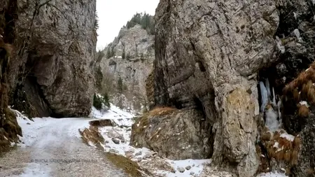 Cheile Zărneștilor: comoara ascunsă la trei ore de București