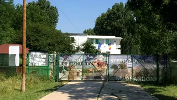 Scandal la adăpostul de câini din Slatina: acuzații de eutanasiere ilegală și bani publici risipiți