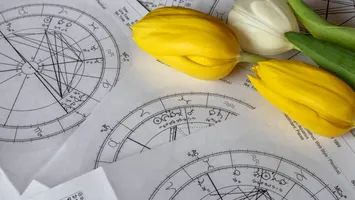 Planta care te definește în funcție de zodie. Ce spun astrologii despre energia fiecărui semn