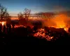 Peste o sută hectare de vegetație uscată, mistuite de flăcări, în județul Constanța