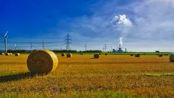 Statul plătește munca din gospodărie. Cine poate primi pensie și asigurare medicală