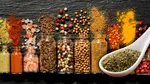 Planta aromatică ce poate înlocui o parte din sare. Ce trebuie să știi înainte să o folosești zilnic