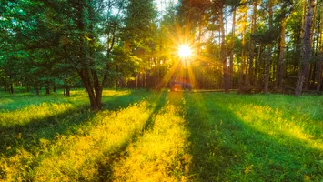 Vreme numai bună pentru iarbă verde, de Rusalii. Ce temperaturi vor fi la începutul verii