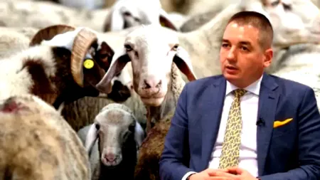 Adio, miel de Paște! Șeful ANSVSA, Alexandru Bociu, a blocat, până în iunie, orice comercializare și export de oi și capre din România