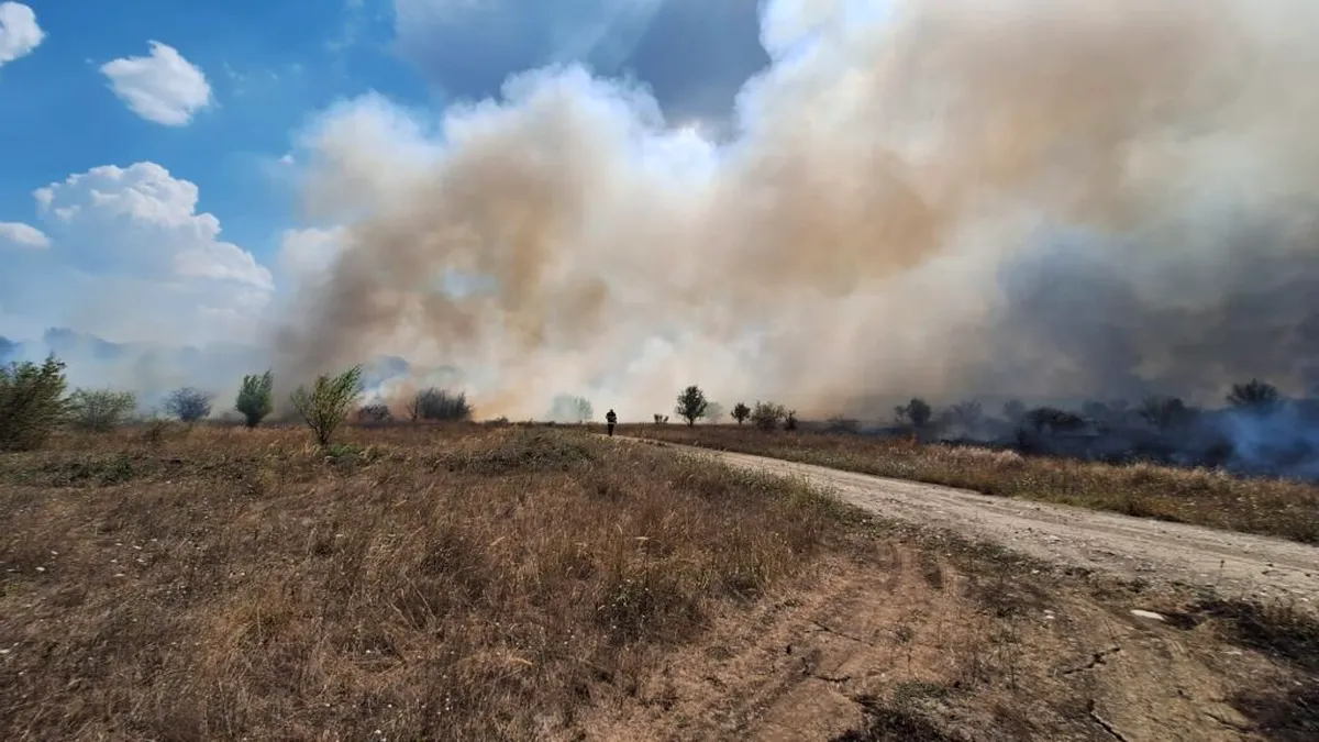 Incendiu foarte aproape de Pădurea Băneasa