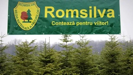 Rețetă de succes la Romsilva. Soția este subalterna directorului