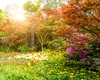 Cum va fi vremea de Florii. Meteorologii au emis prognoza oficială de sărbători