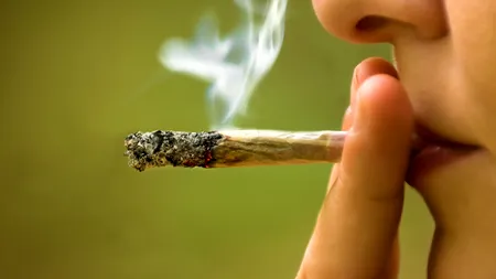 Fumatul de cannabis poate să micșoreze testiculele și să afecteze fertilitatea