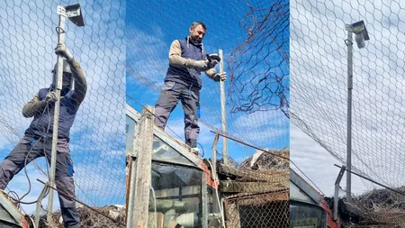S-a montat prima cameră video care transmite în direct imagini dintr-un cuib de berze
