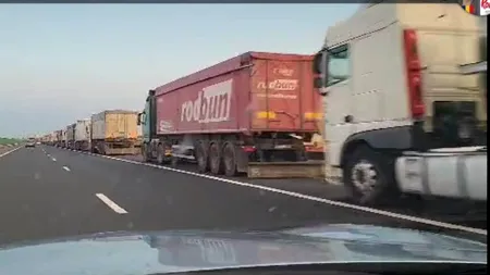 Video. Cozi imense de camioane către Portul Constanța, înainte de recoltatul grâului