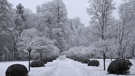 Ger tăios în toată țara în cea mai rece dimineață a sezonului. Cât mai ţine frigul