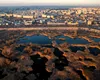 Bucureștiul verde prinde rădăcini. Dar Asociația Parcul Natural Văcărești nu va mai fi Văcărești