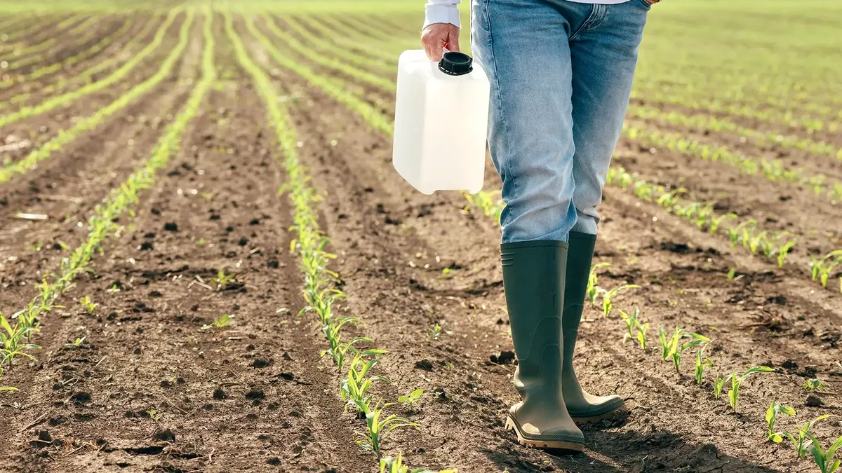 Control total asupra pesticidelor: Guvernul adoptă astăzi reguli stricte pentru sănătatea românilor