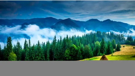 Bucovina, inclusă într-un circuit turistic internațional de lux. De la ce prețuri pornește excursia de 20 de zile