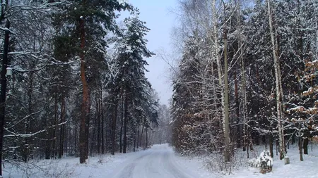 CNAIR: Iarna a venit pe Transfăgărășan în zona turistică Bâlea. Se închide și Transalpina