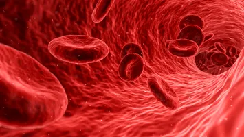 Ziua Mondială de Conștientizare a Hemoglobinuriei Paroxistice Nocturne în România