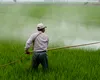 Criza care pândește agricultura globală. Bayer amenință cu retragerea celui mai puternic erbicid din cauza litigiilor legate de cancer