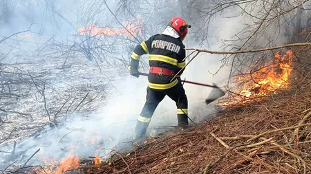Pompierii luptă de trei zile să stingă un incendiu izbucnit pe munte. Se intervine cu elicopterul Black Hawk (VIDEO)