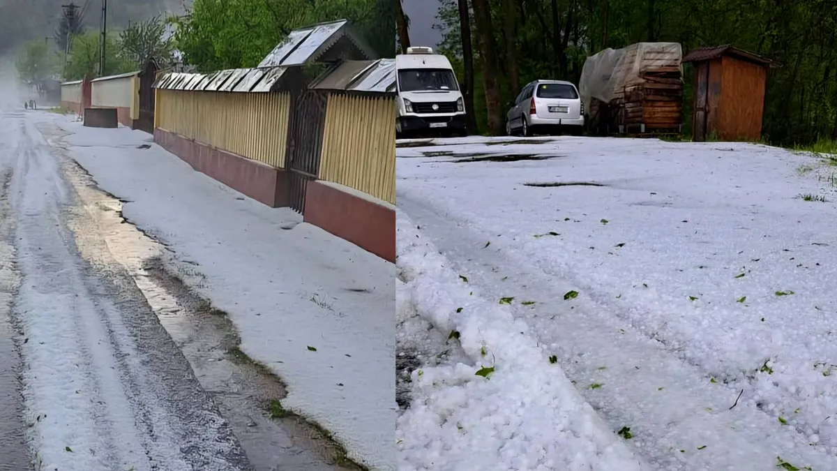 Schimbare de optică: Agricultorii cer cu disperare sisteme antigrindină, după dezastrul de Paște