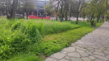 Timișoara - ascunzătoare pentru șerpi. Dominic Fritz refuză să tundă iarba (VIDEO)