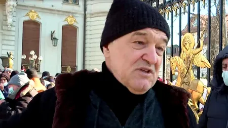 Gigi Becali a fost atacat de hoți. I-au fost furate trei oi