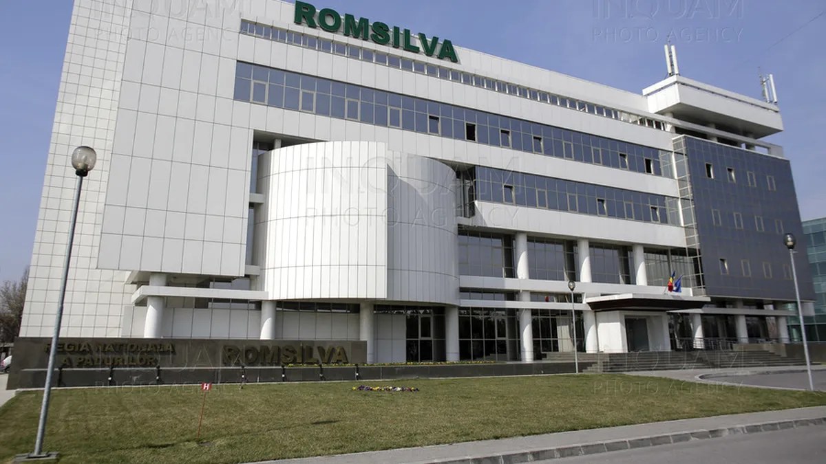 Cinci organizații județene PNL se bat pentru impunerea șefului de la Romsilva