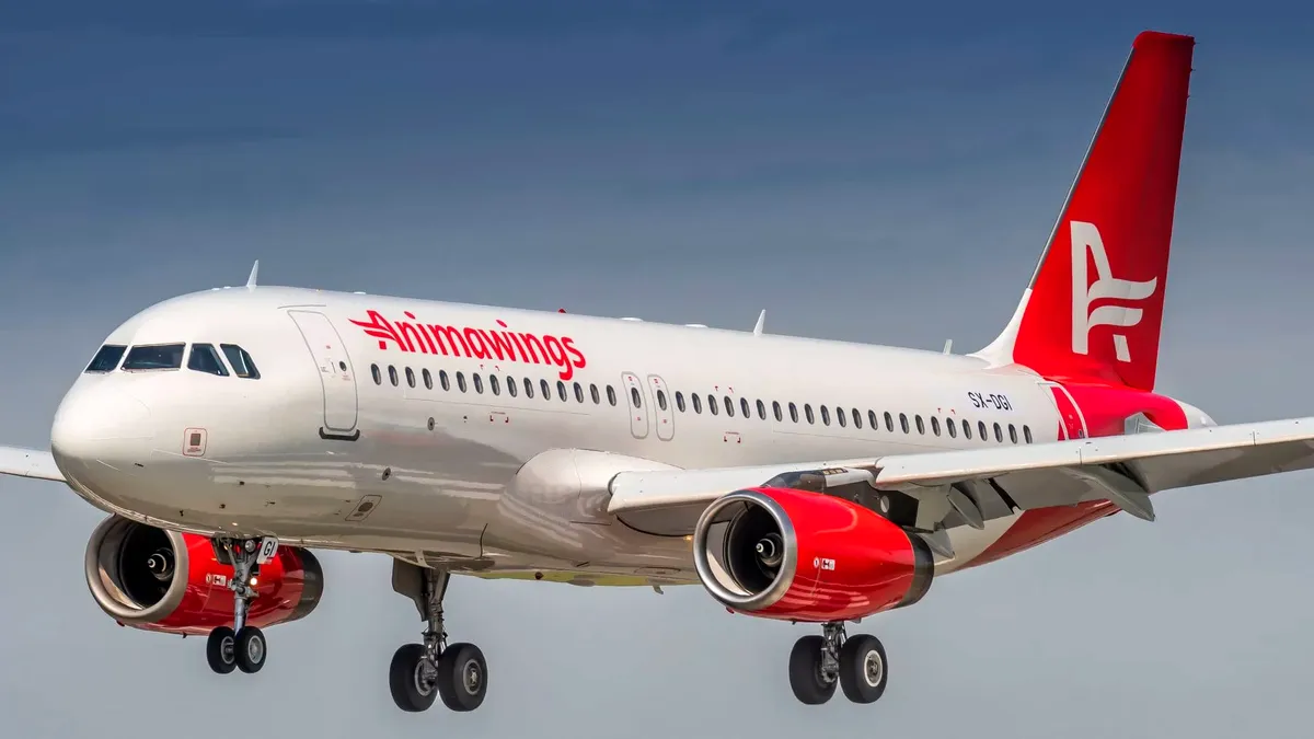 Animawings deschide noi rute de pe Aeroportul Oradea