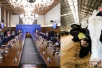 Guvernul a aprobat înființarea rețelei de date pentru monitorizarea fermelor din țară