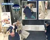 Coșmar în Italia: Noi detalii despre românul care a încercat să răpească o fetiță chiar din brațele mamei. Imaginile groazei la Bergamo (VIDEO)