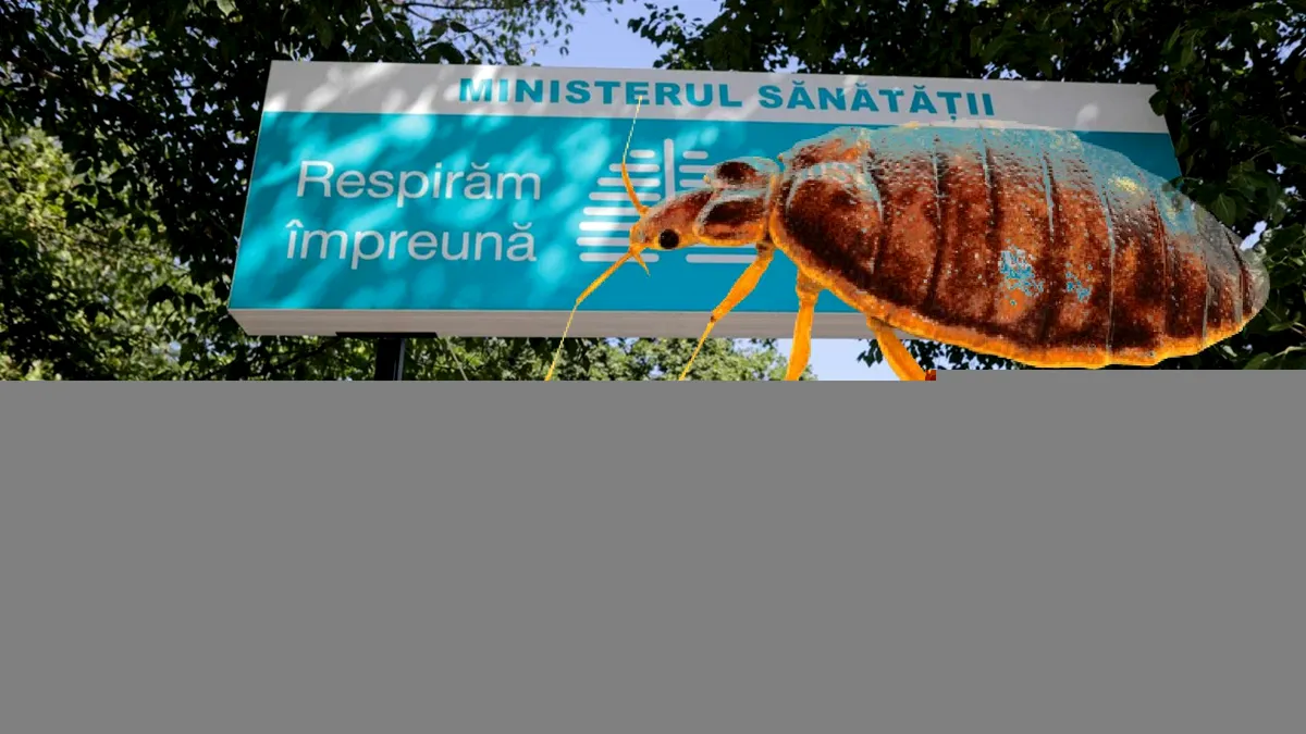 Criza ploşniţelor, la un spital din Bucureşti. Nu se mai primesc urgenţe