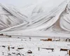 Deșert acoperit cu zăpadă – un fenomen meteo extrem de rar