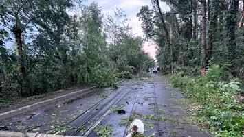 Accesul în cartierul Greenfield, blocat de copaci și stâlpi de lumină prăbușiți pe carosabil