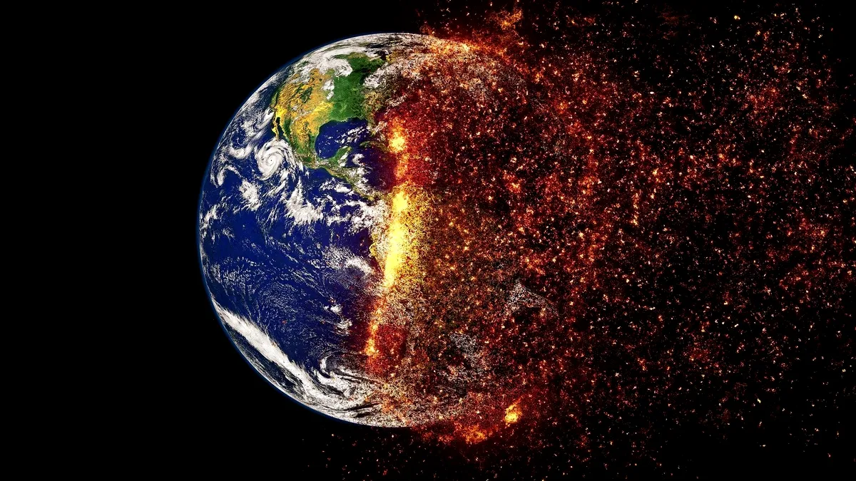Animalele își schimbă forma din cauza încălzirii globale, arată ultimele studii
