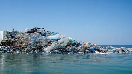 Metoda simplă și la îndemână pentru a elimina microplasticele din apă