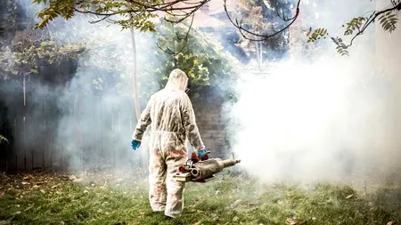 Cât vor plăti bucureştenii în 2024 pentru combaterea ţânţarilor, căpuşelor şi gândacilor
