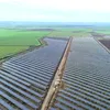 Doral Energy, care deține cel mai mare proiect solar din SUA, dezvoltă două parcuri fotovoltaice în Brăila și Călărași
