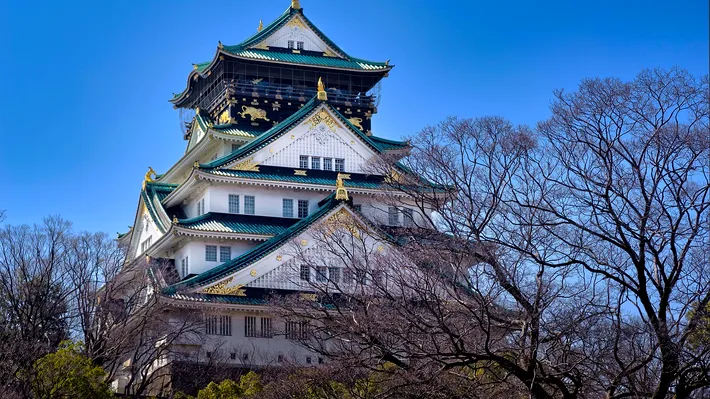 Japonia oferă bilete de avion gratuite turiștilor europeni