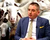 Cadoul de Paște al șefului ANSVSA, Alexandru Bociu, pentru fermieri: Comisia Europeană a interzis, până la 30 septembrie, României exportul de oi și capre