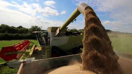 România trage în jos producția mondială de grâu și porumb