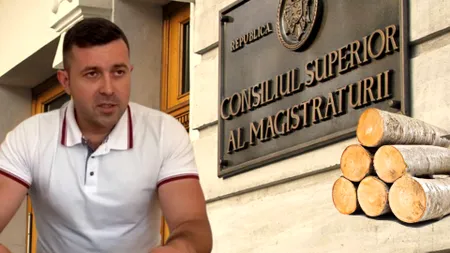 Candidatul la șefia Parchetului Vrancea, Ionuț Drîmbă, susținut de elita infractorilor locali și a mafiei lemnului