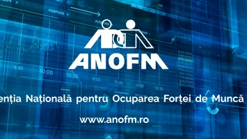 22 milioane lei dispăruți din banii pentru șomaj – ce a găsit Curtea de Conturi la ANOFM