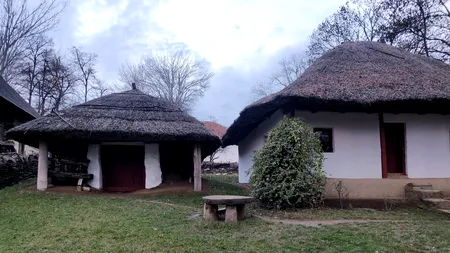 DELTA SĂLBATICĂ / Stuful - „decor” în lumea apelor