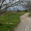Strada neasfaltată care a învins Primăria Arad în instanță: o femeie a câștigat 25.000 de lei de la primărie