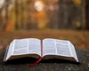 Ce spune Biblia despre Iuda, apostolul care l-a trădat pe Mântuitor