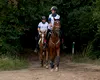 România devine scena mondială a anduranței ecvestre: Buftea găzduiește Campionatul Mondial pentru Tineret și Juniori