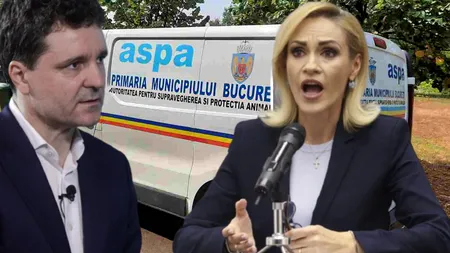 Șefa ASPA este membră PSD, însă Firea îl acuză pe Nicușor Dan de tragedia de la Lacul Morii